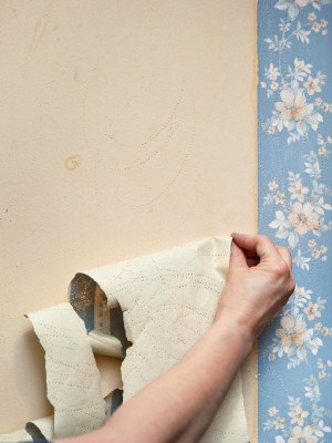Wallpaper removal in Eagan, Minnesota by Mac Grove Painting.